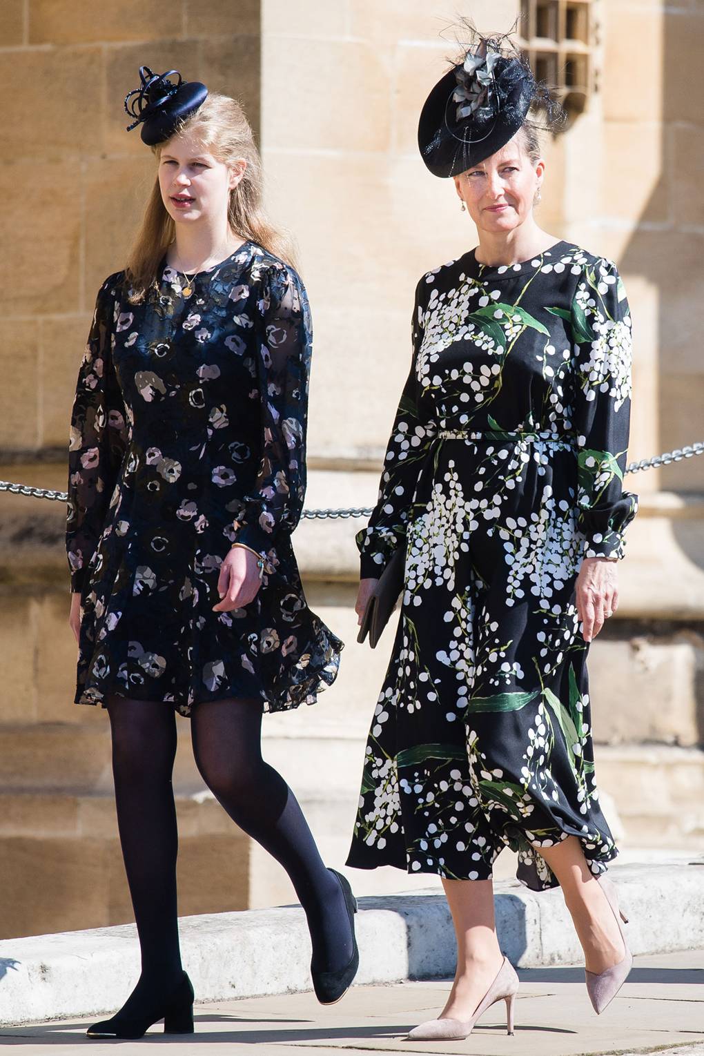 Lady Louise Windsor cancelled A-levels Queen's granddaughter | Tatler