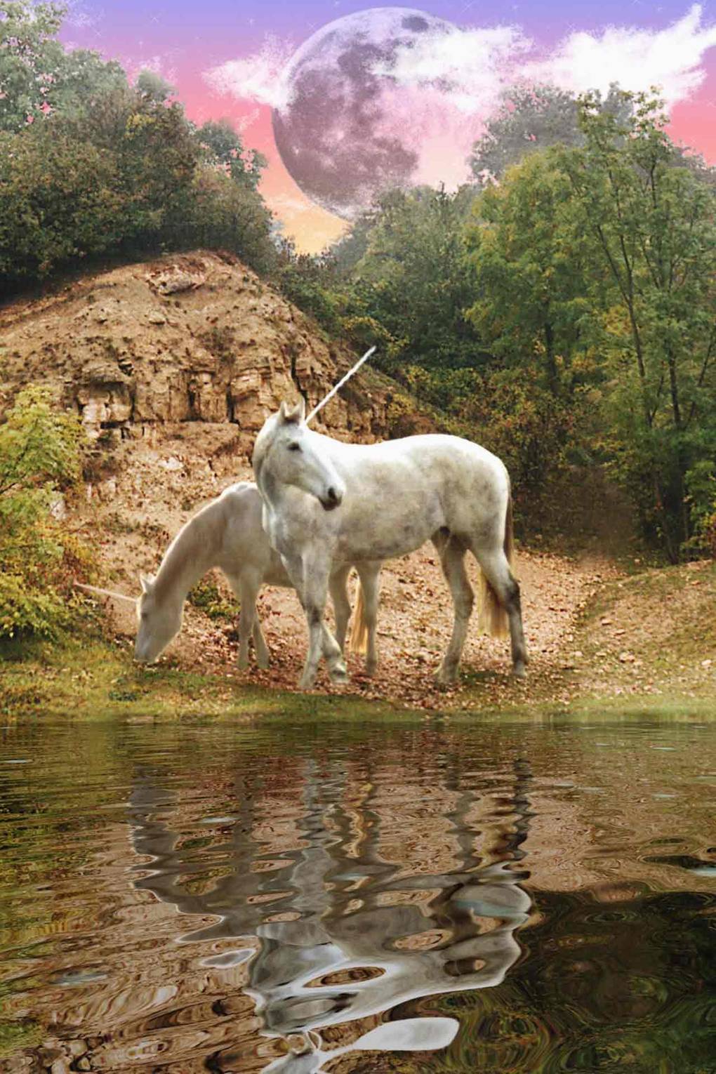 Unicorn pictures: real unicorns | Tatler