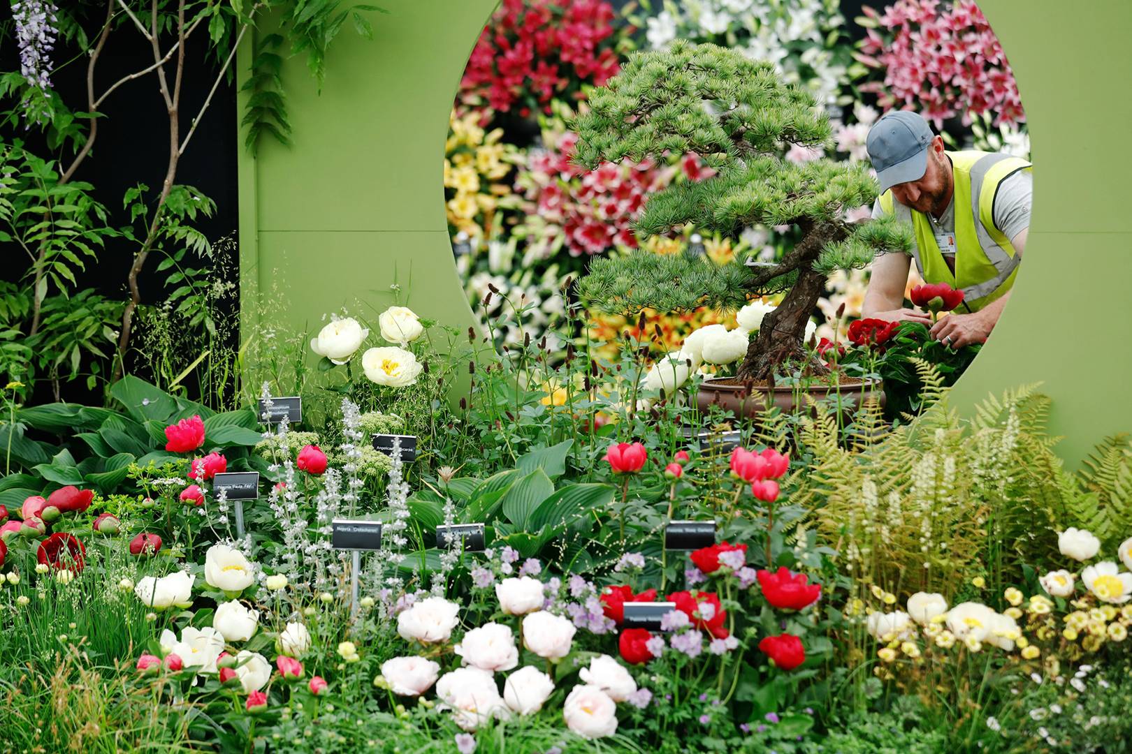 RHS Chelsea Flower show 2021