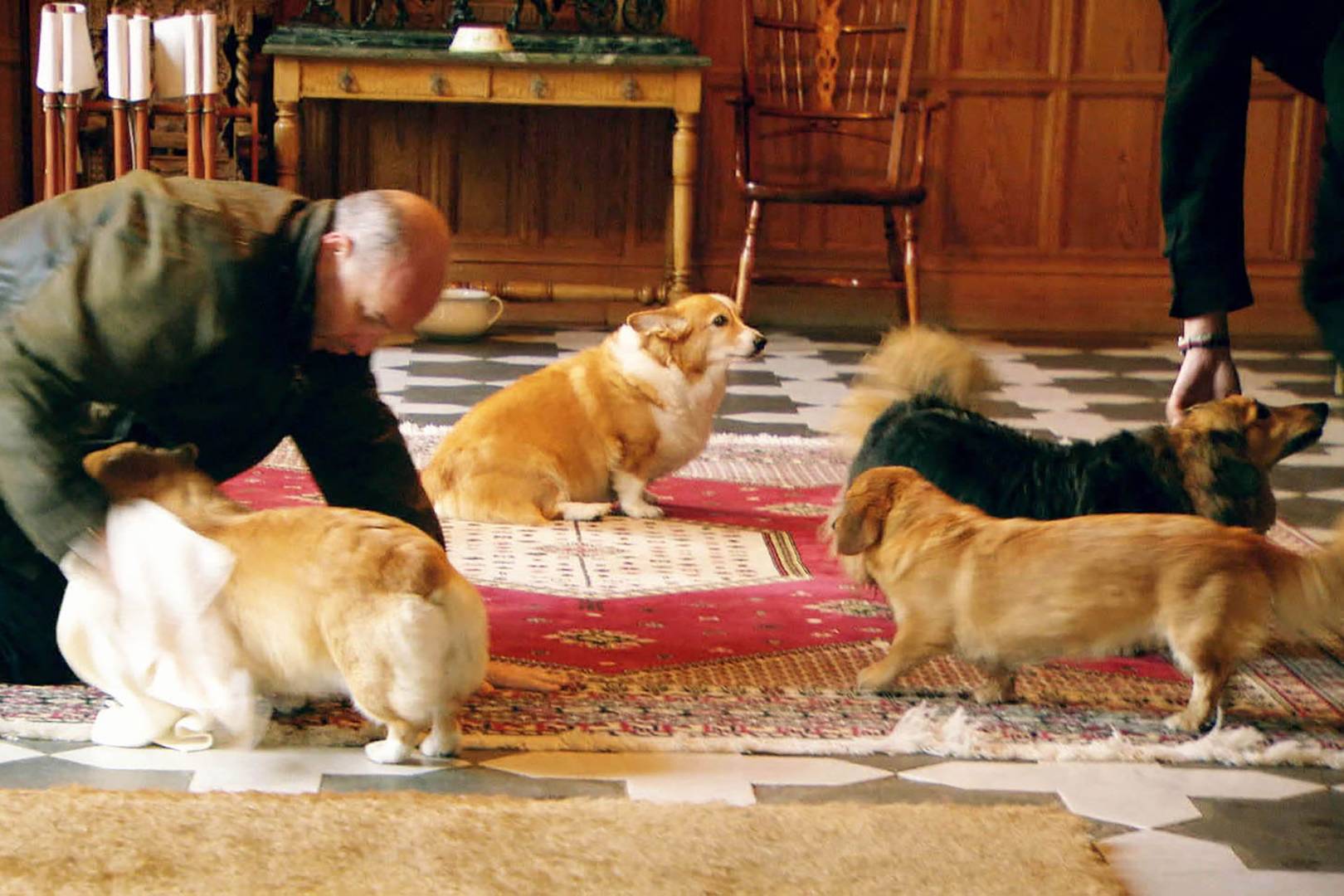 Queen's dog Vulcan dies cross Tatler