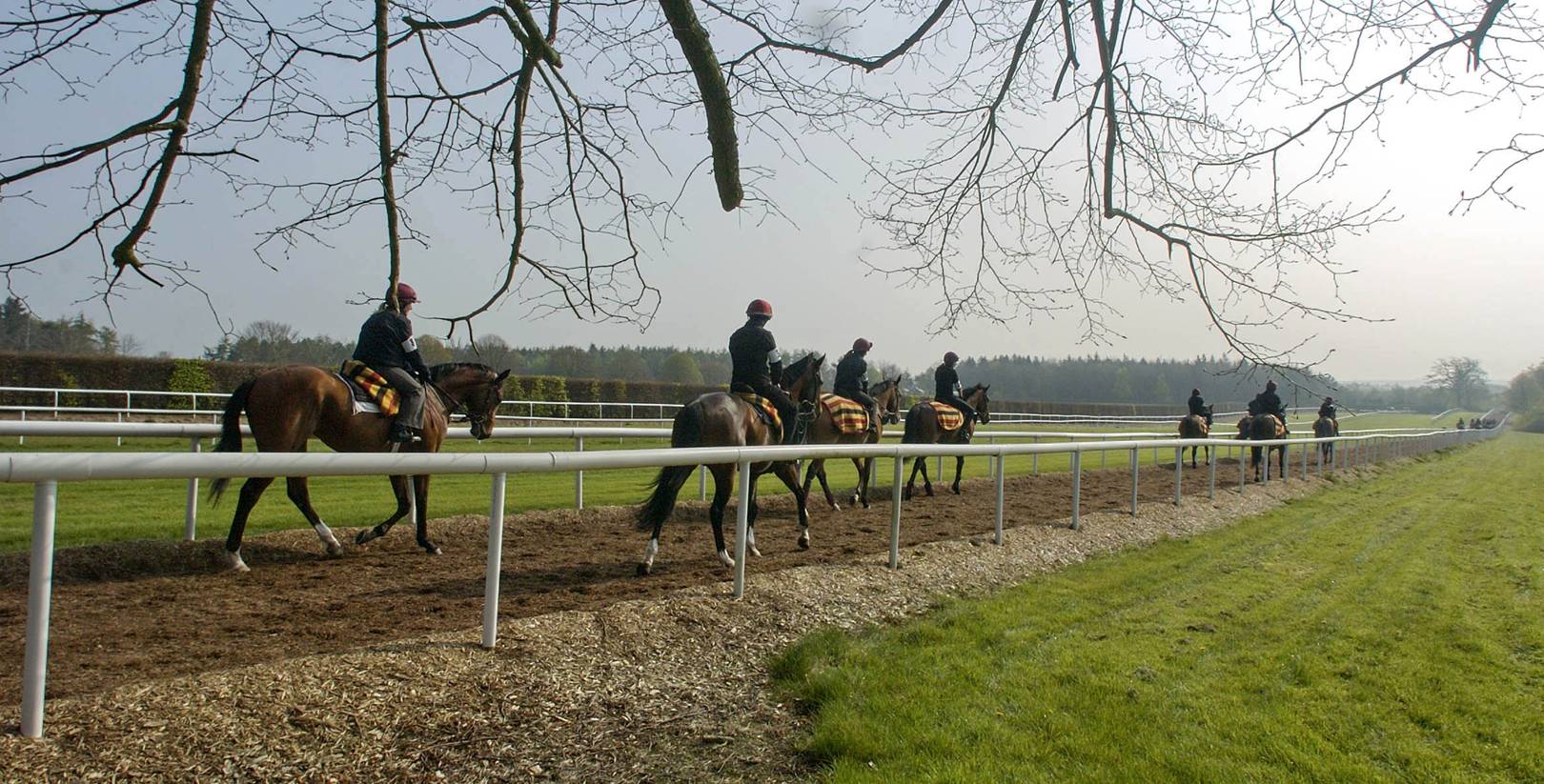 Top Horse Racing Estates Tatler