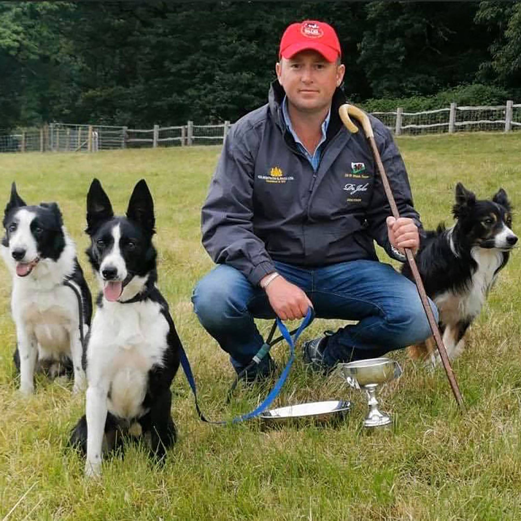 sheepdog sales 2018