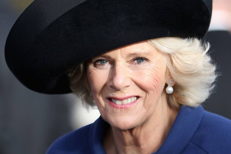 Camilla Duchess of Cornwall Reveals Silver Swans Ballet Lessons | Tatler