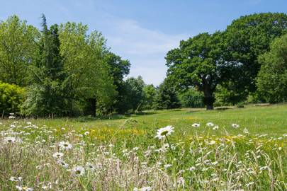 Little Bentley Hall gardens virtual tour | Tatler