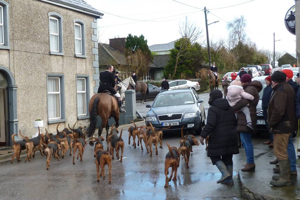 Fox hunting in Ireland hunting life Tatler