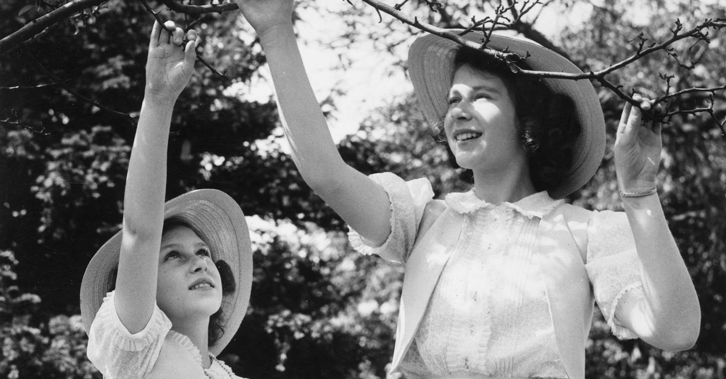 The Windsor Diaries Reveals Life For Queen During WW2 - Vimarsana News