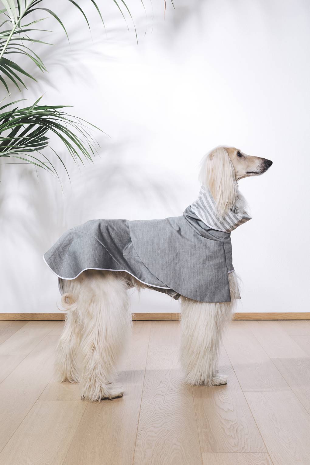 couture dog clothes