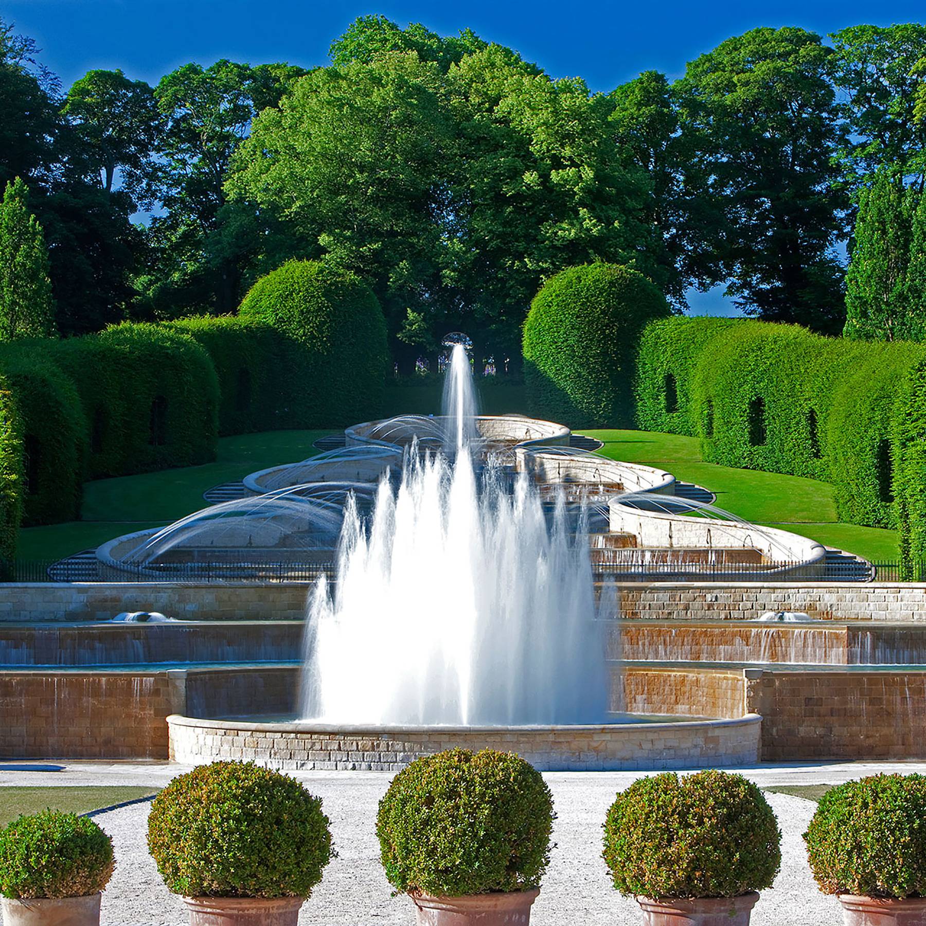 Get Books The poison garden of alnwick No Survey