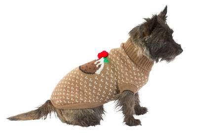 dog Christmas outfits 2016 | Tatler