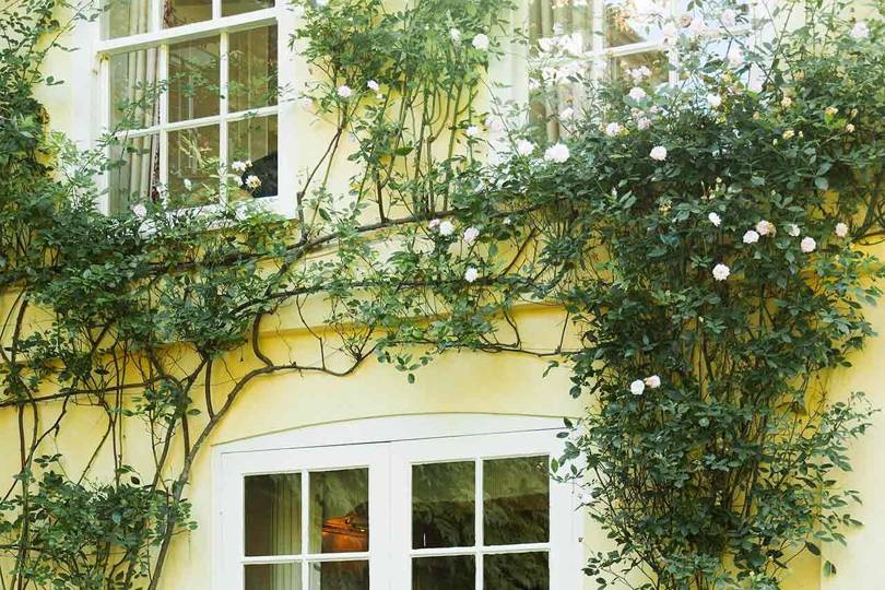 Furniture designer Fiona Jolly interviewed by Sophia MoneyCoutts for