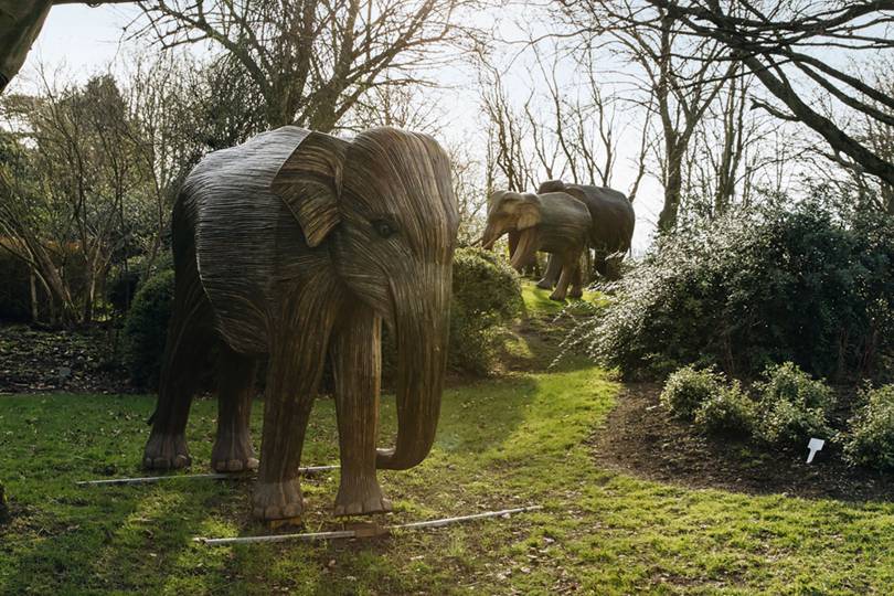 How the Duchess of Cornwall's idea led to four life-size elephant sculptures arriving in Lord Carrington's garden - Vimarsana News