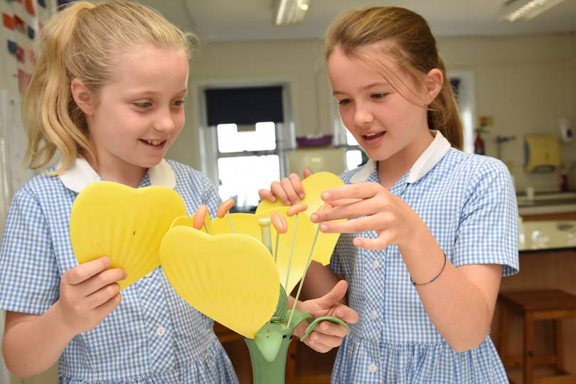 Norland Place School Prep School Fees, Results & Alumni 2017 Tatler