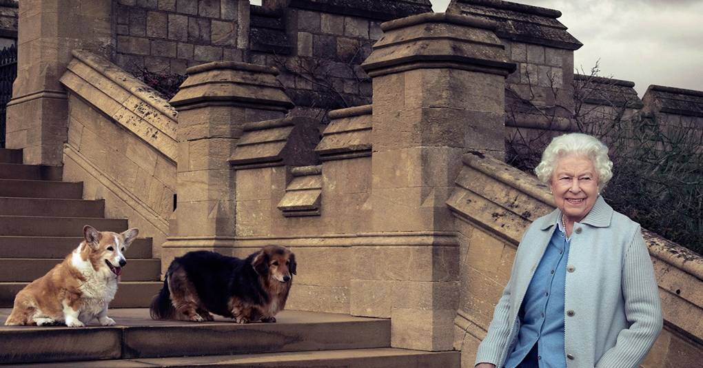 Royals and their dogs - the royal family's pets - vintage pictures of ...