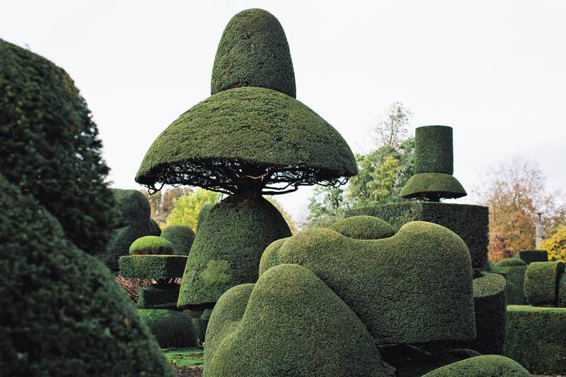 Best Topiary Gardens in the UK Tatler