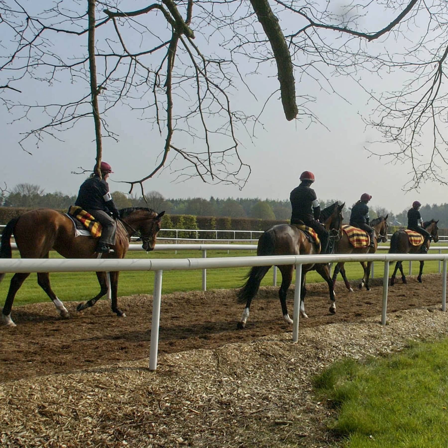 Top Horse Racing Estates Tatler