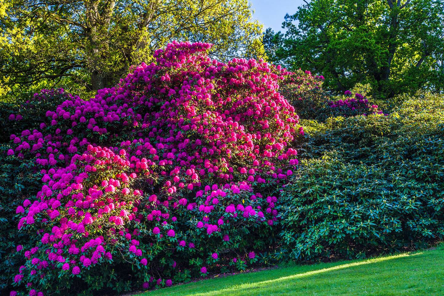 Bowood House Gardens virtual tour | Tatler