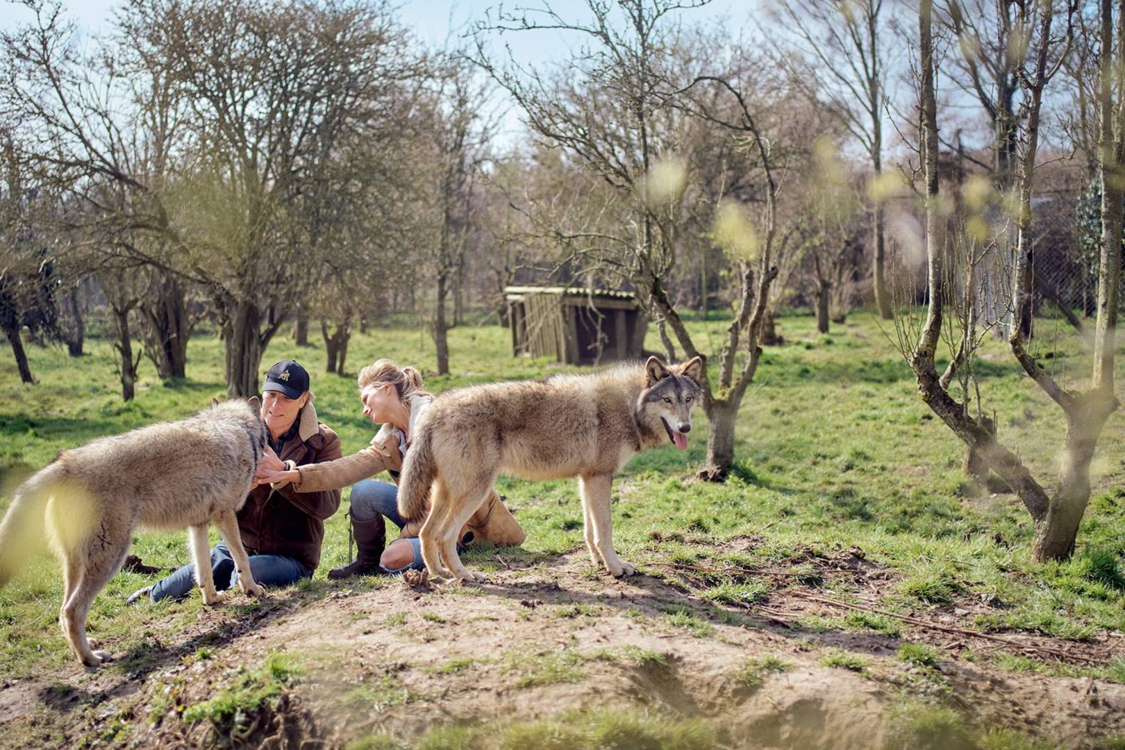 How saints with wild animals were friends How saints with wild animals were friends