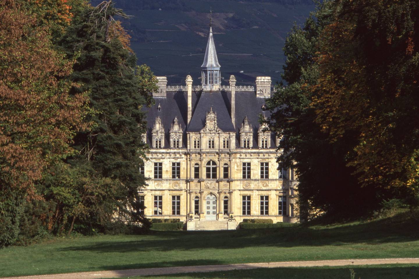 Why Champagne Houses Are In A Tussle With Vineyard Owners In 