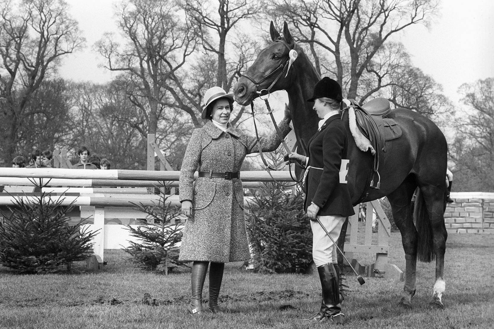 Queen reveals her 13 favourite horses of all time Tatler