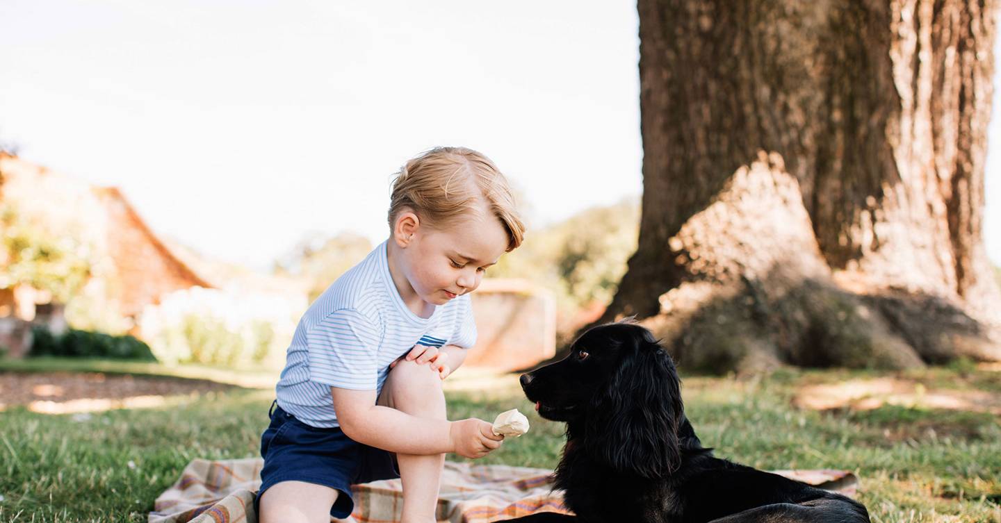 Royals and their dogs - the royal family's pets - vintage pictures of ...