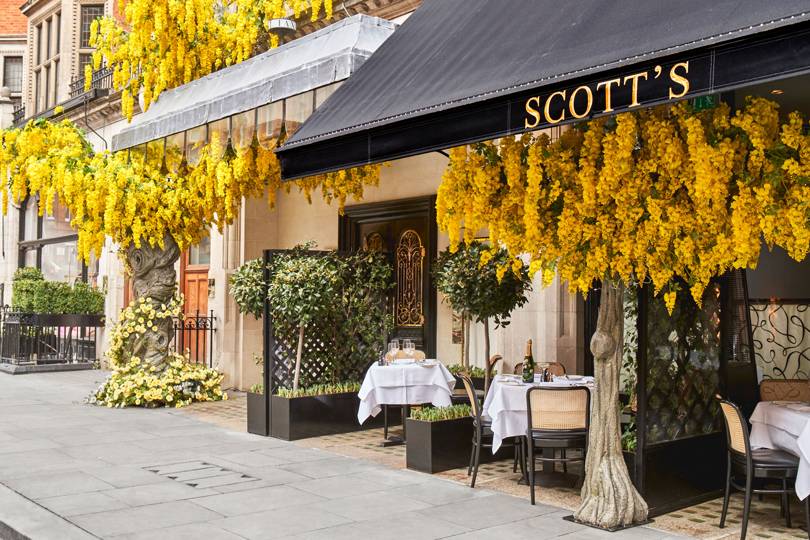Scott's, Mayfair – Restaurant Review - Seafood, Fish - Vimarsana News