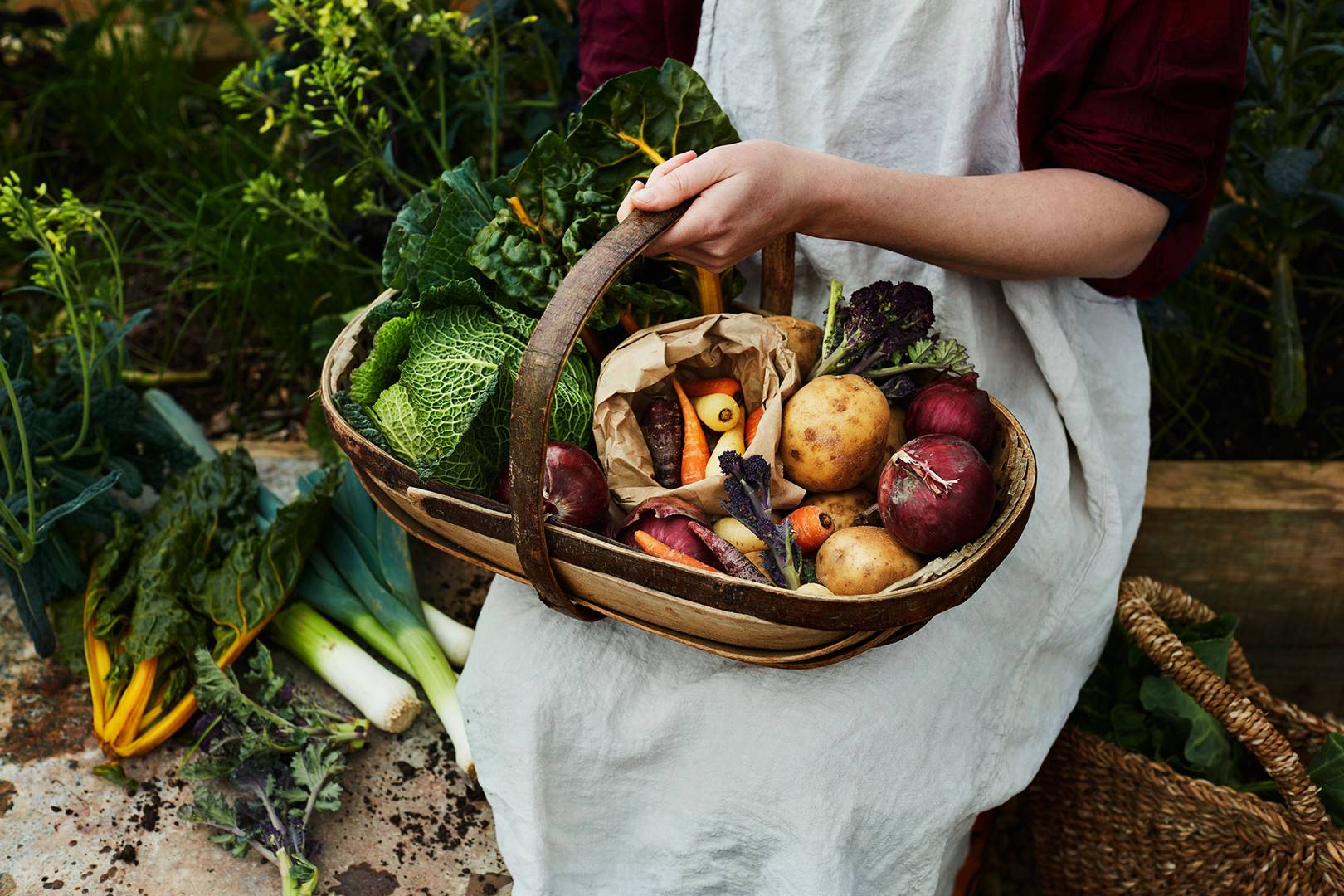 food boxes delivered to your door