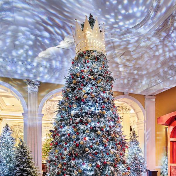 London's best Christmas trees Christmas tree ideas prettiest