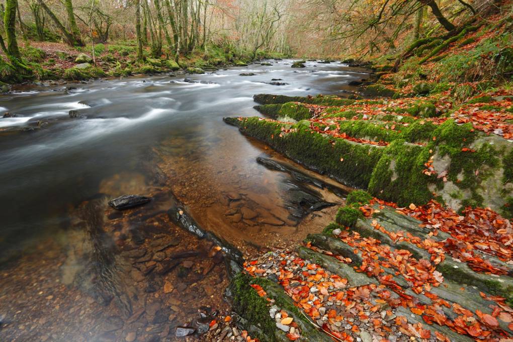 Wild swimming UK - the best spots for a splash in the wild | Tatler