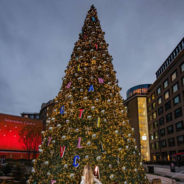 London's best Christmas trees | Tatler