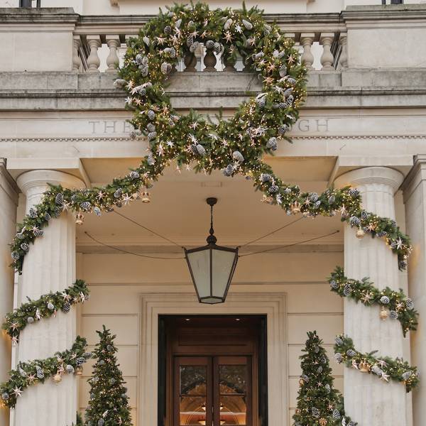 London's best Christmas trees  Tatler