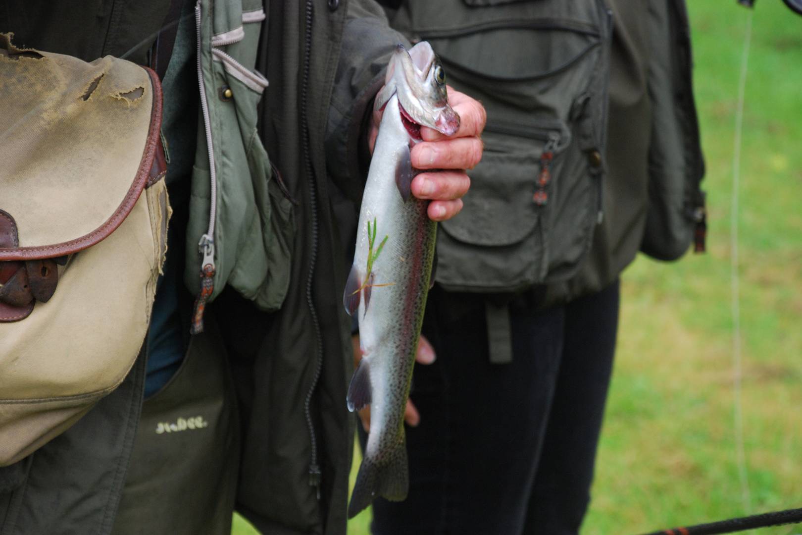 Best fly fishing UK, courses & lessons Tatler