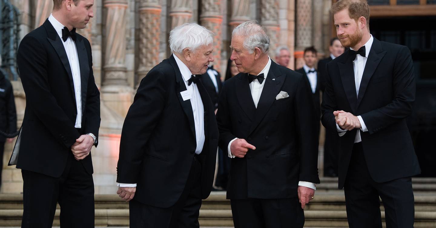 Royals Charles, William & Harry at Attenborough Our Planet Premiere ...