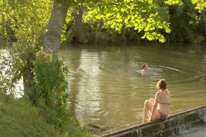 tatler frome weir wildswimming