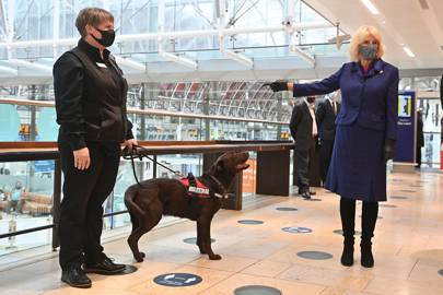 Además del entrenamiento en áreas concurridas como la estación de Paddington, las pruebas también se llevan a cabo en escuelas, un estadio de fútbol y un centro comercial